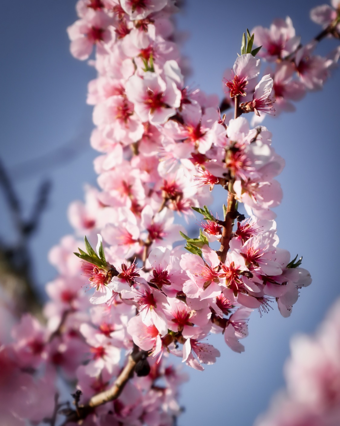 Gottesdienst Ostermontag